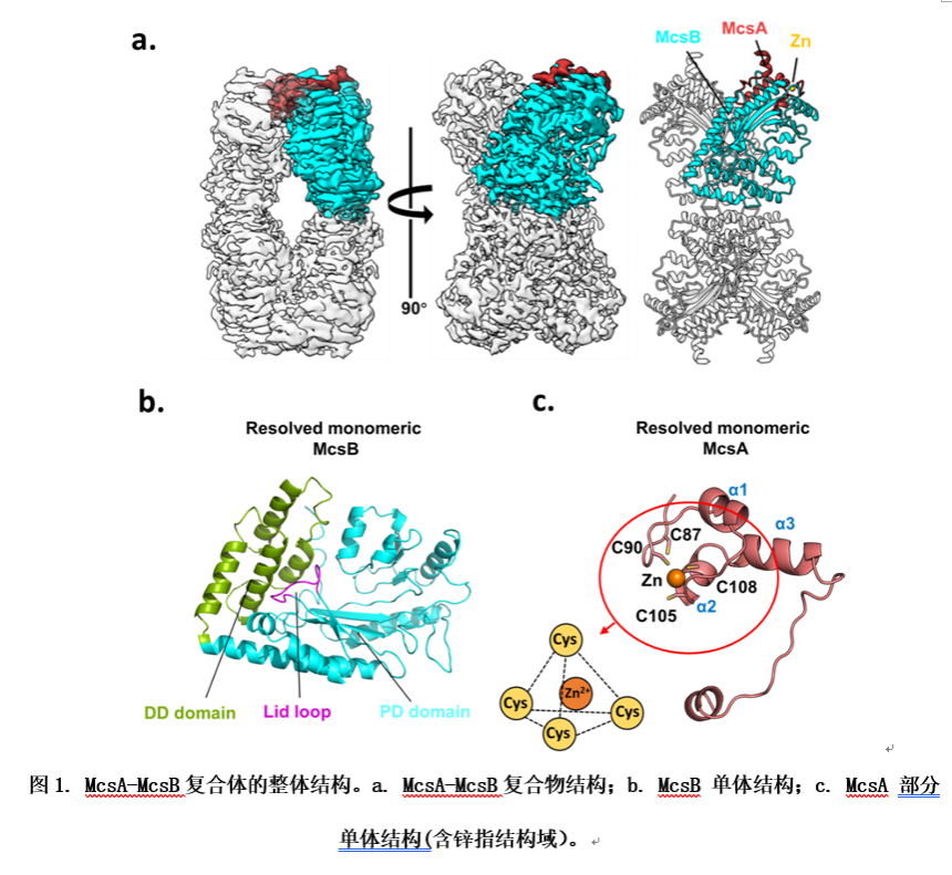 655CDAD5CA45F424D6BB11AD6EA_ACB95493_58083