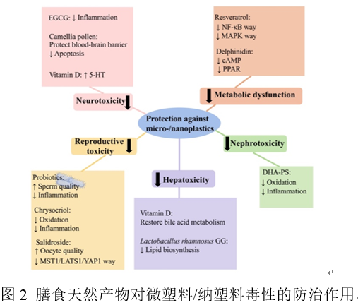 5936881CE536C70740061712EA9_03274893_2283D