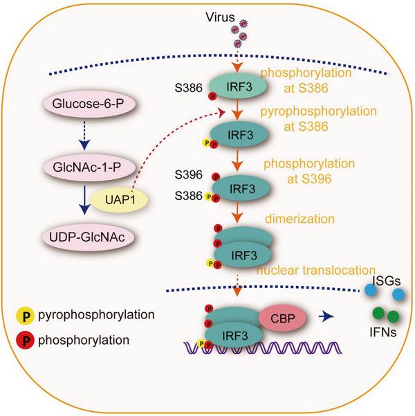 22BEB933C79740B124735EC13BD_776487D5_D307