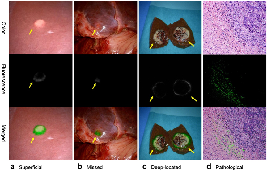 ��ҳ|ng������Ϸ�й����Źٷ���վ