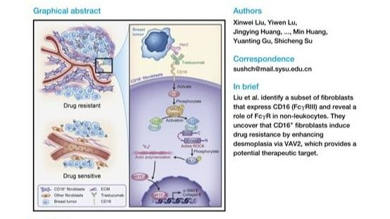 ��ҳ|ng������Ϸ�й����Źٷ���վ