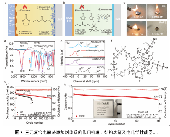 36C98568D802EE7FE6AD1B7E28D_7E3317DC_354D1