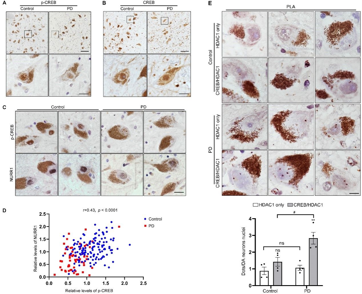 9ECD4AFCD774C762F013551D91B_67E3A306_344EA