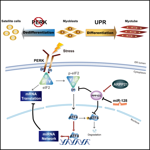 ��ҳ|ng������Ϸ�й����Źٷ���վ