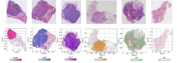 ��ҳ|ng������Ϸ�й����Źٷ���վ