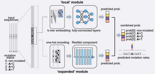 DE432F9673C512A1B626EF99873_344C8A1A_1A892