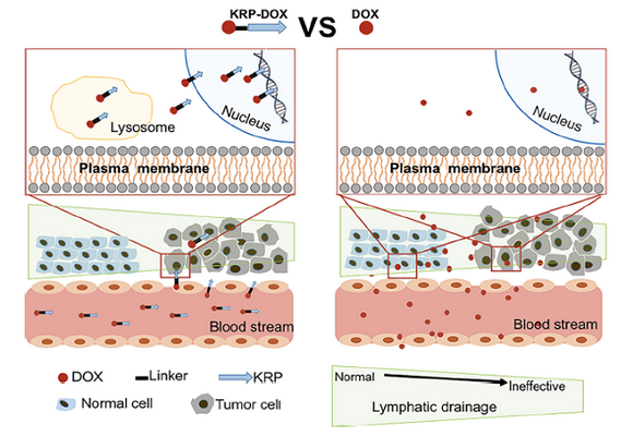 ��ҳ|ng������Ϸ�й����Źٷ���վ