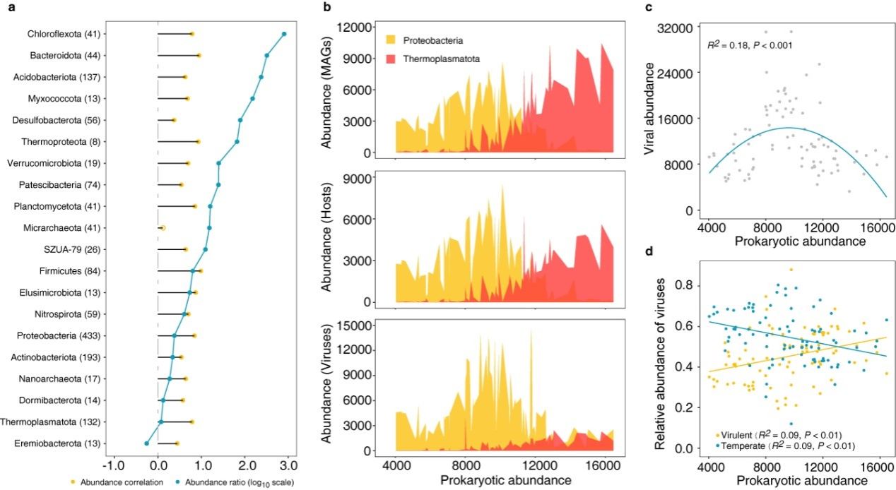 4D209BC52C7418A855F310233FB_D3FCD1F5_1B03E