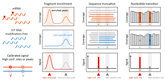 ��ҳ|ng������Ϸ�й����Źٷ���վ