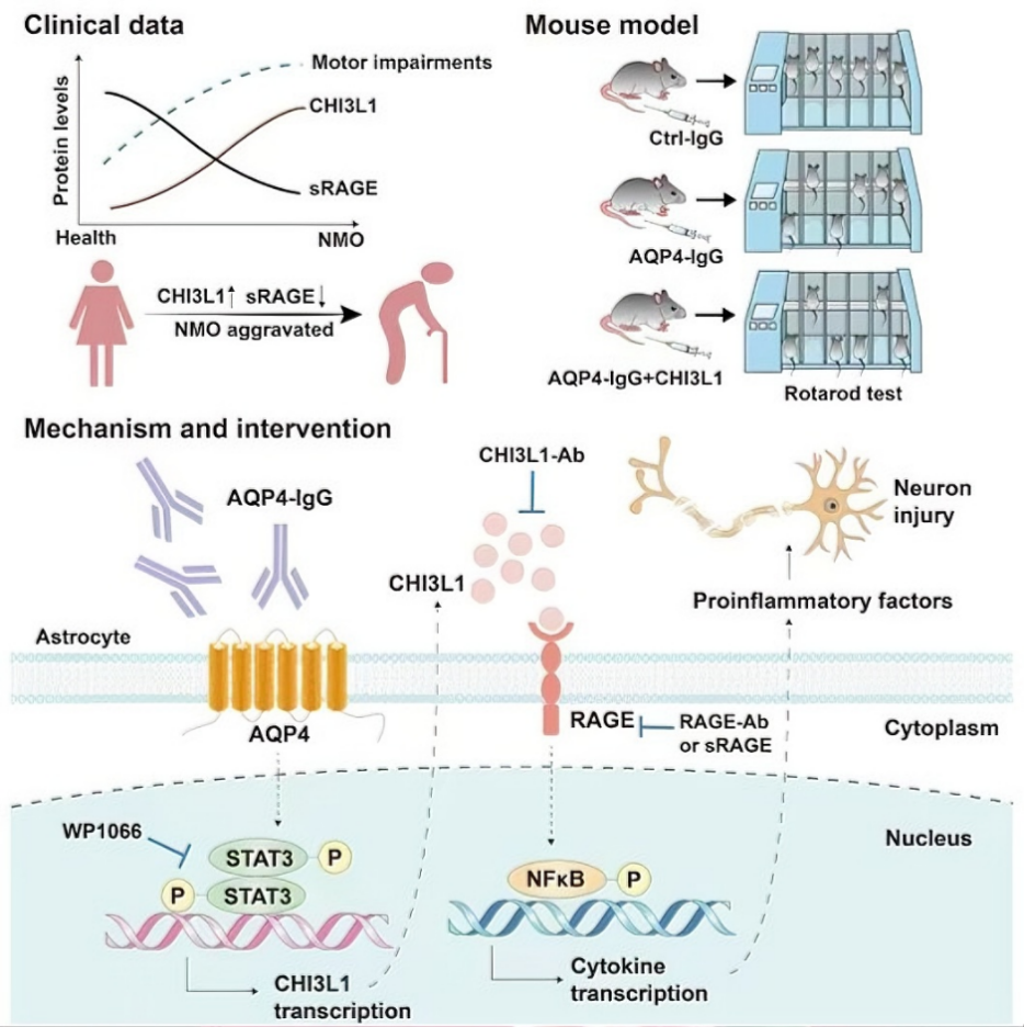 FEBE32840FE9B168EDBA087B83B_CB9A116A_CC5D6