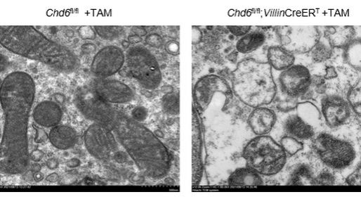 ��ҳ|ng������Ϸ�й����Źٷ���վ