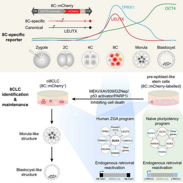 5099F3D9798BC95EC6E101213D6_331CB6C8_EFF7