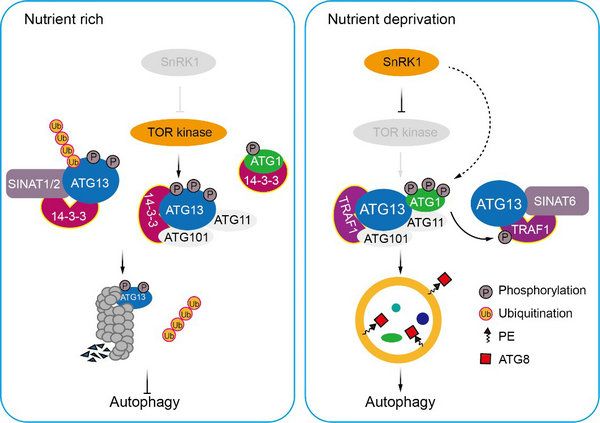 AB80E792F4B5E5EB4792D5A5673_2E589F0A_A99B
