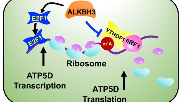 ��ҳ|ng������Ϸ�й����Źٷ���վ