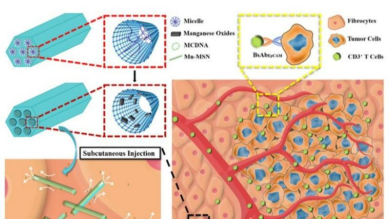��ҳ|ng������Ϸ�й����Źٷ���վ