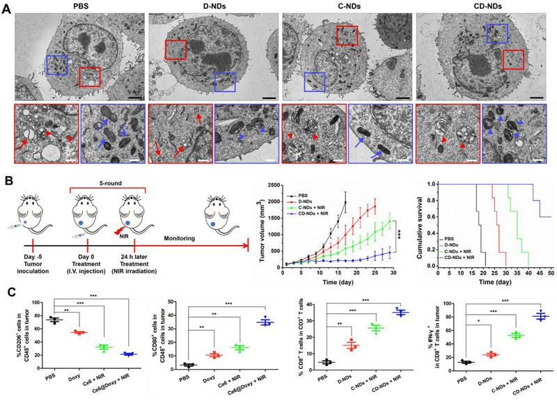 53C836B6440F82416B0124B337A_79756C55_1967C
