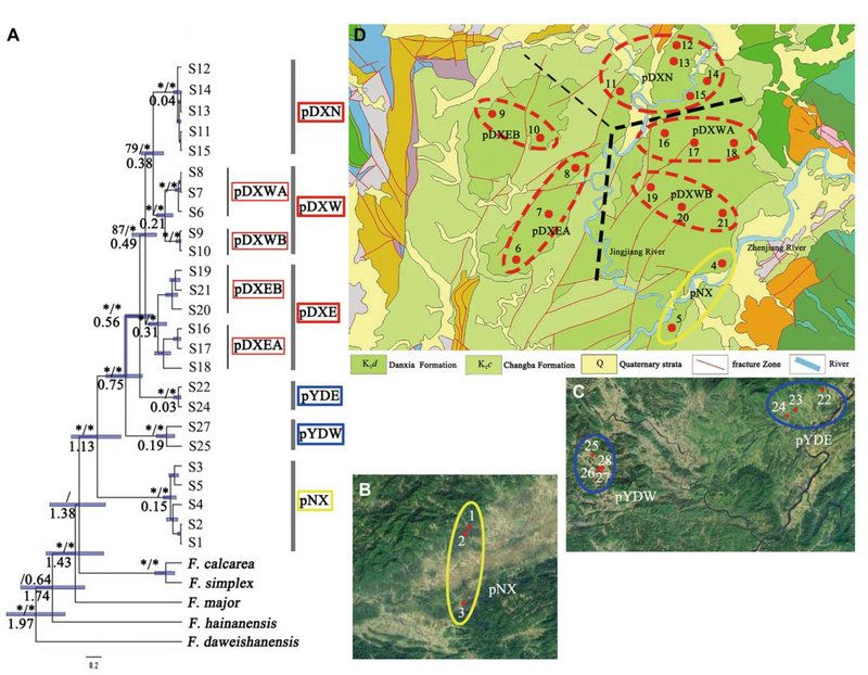 90CF6AF3D0AC76B47AE91BBF0A3_B2CE9706_1A9EB 90CF6AF3D0AC76B47AE91BBF0A3_B2CE9706_1A9EB