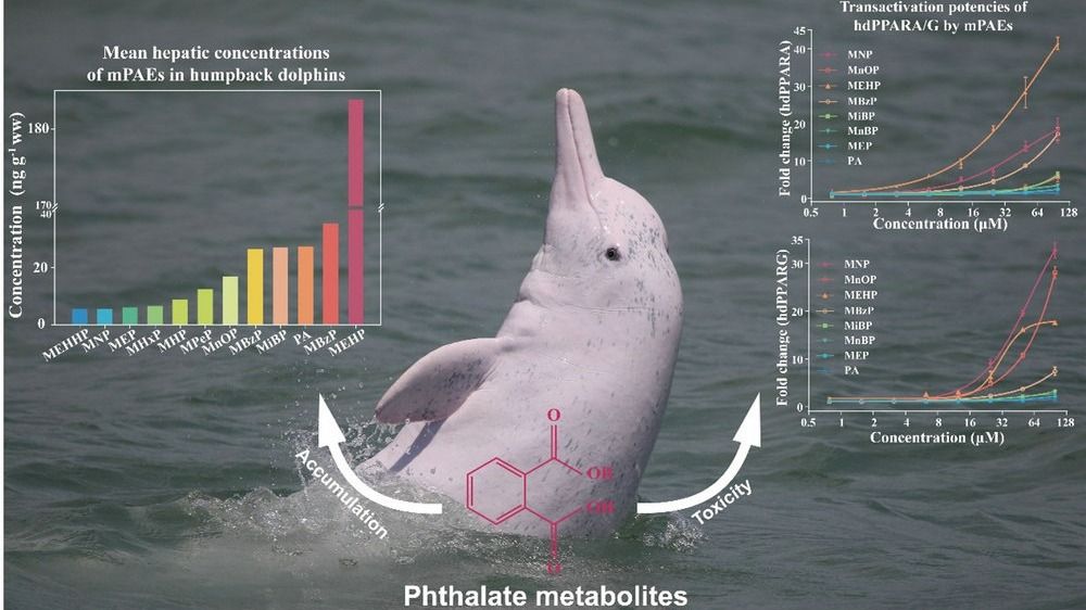 ��ҳ|ng������Ϸ�й����Źٷ���վ