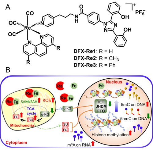 ��ҳ|ng������Ϸ�й����Źٷ���վ