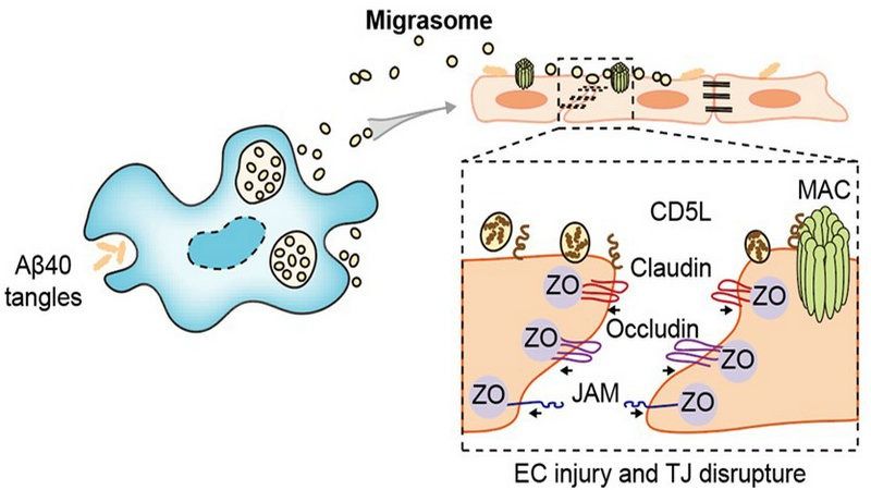 ��ҳ|ng������Ϸ�й����Źٷ���վ