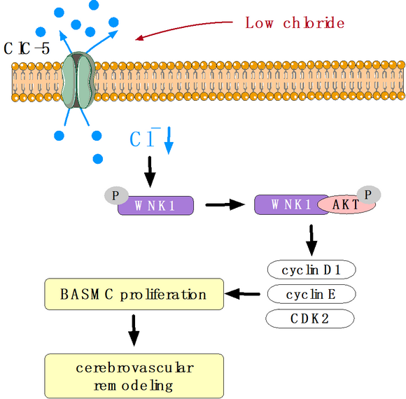 ��ҳ|ng������Ϸ�й����Źٷ���վ