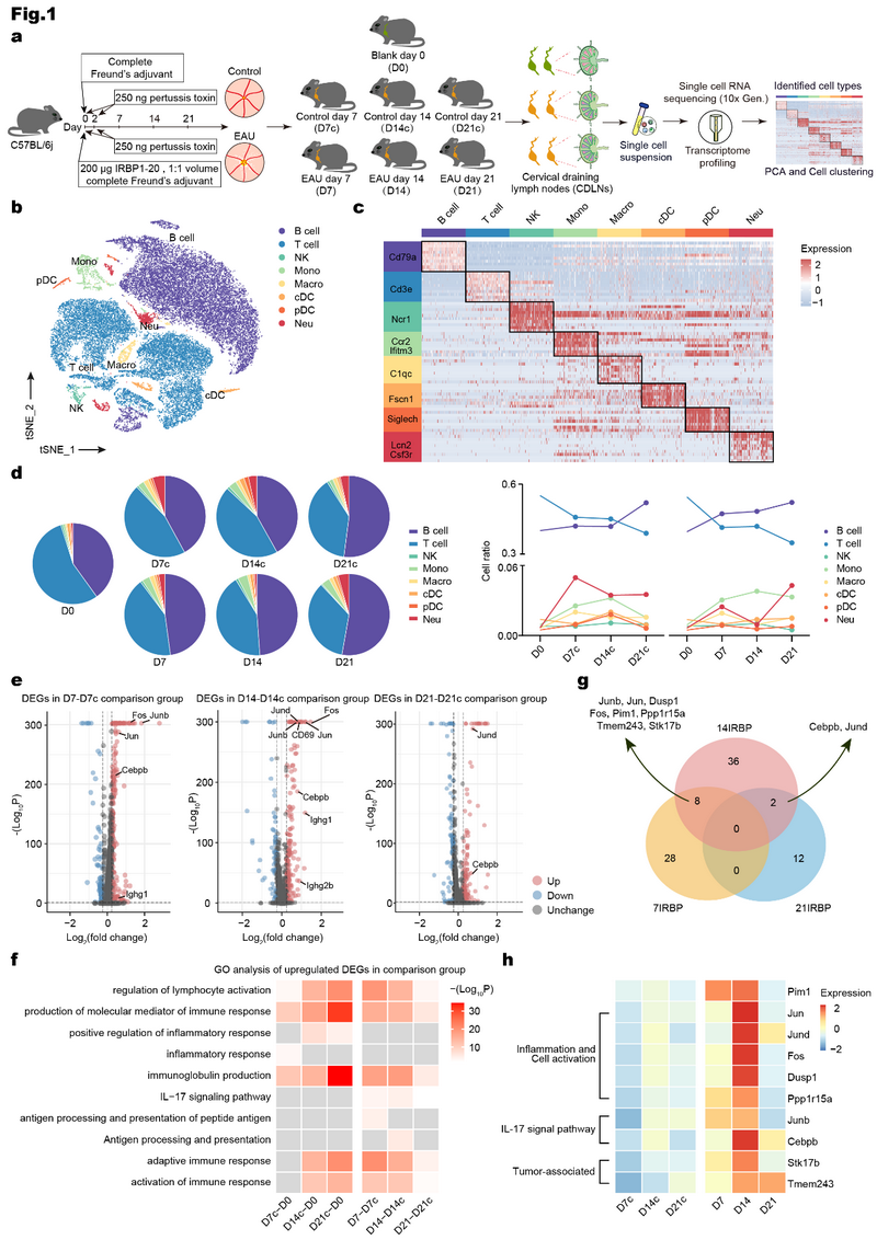 EA447AB4E19F74749B5B74401F6_B8B04FFC_86B19