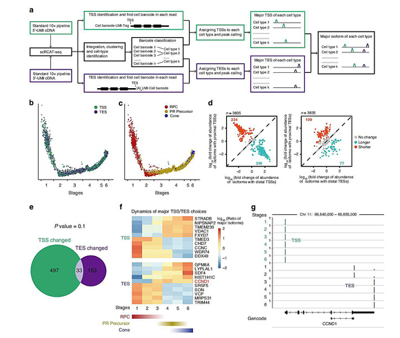 ��ҳ|ng������Ϸ�й����Źٷ���վ
