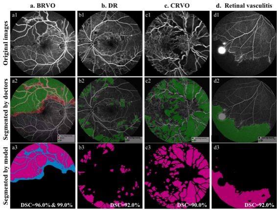AE768B3642B203596D5F78E2744_8A397C73_DEB2