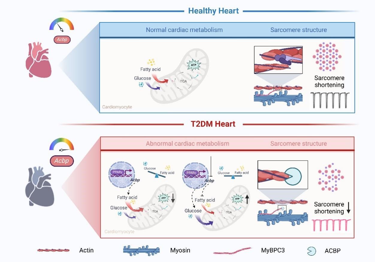 FAC7796AE7601B19E23D9E68DD4_BAA4A11C_1C538