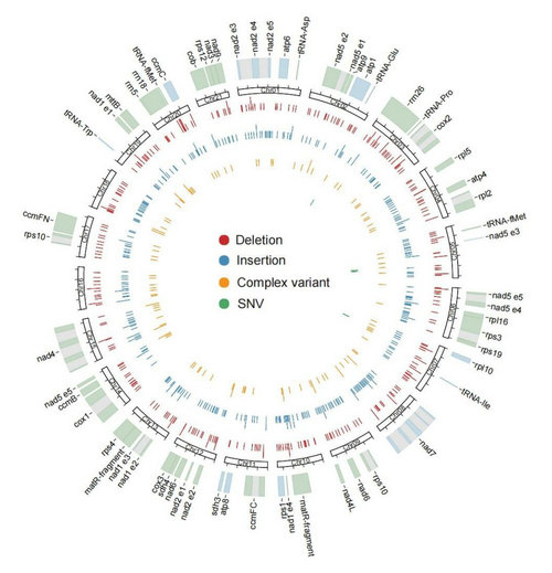 ��ҳ|ng������Ϸ�й����Źٷ���վ