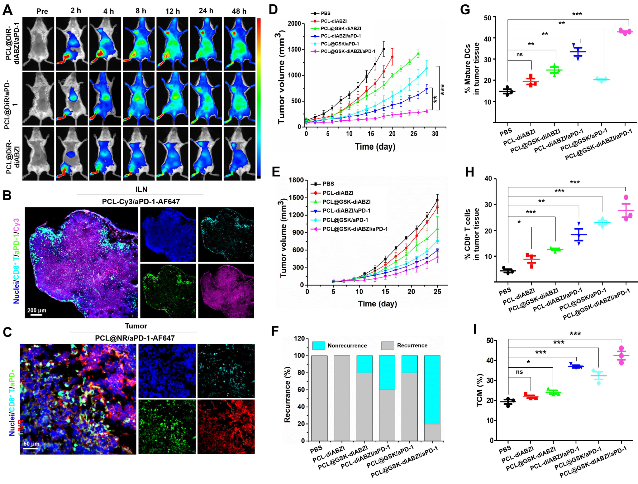 75CADB8B1DF23B2B86428ABDF6E_682765B7_2D910C