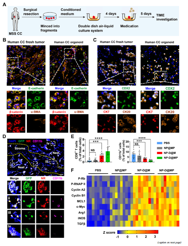 93BB42DA7EB7BC956D1D29357B2_E2E50294_72CE5