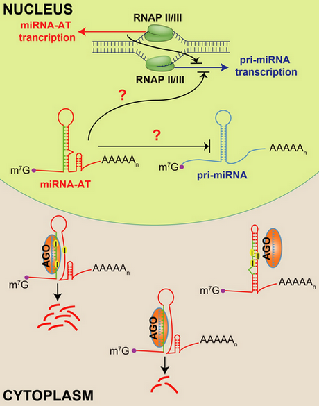 ��ҳ|ng������Ϸ�й����Źٷ���վ