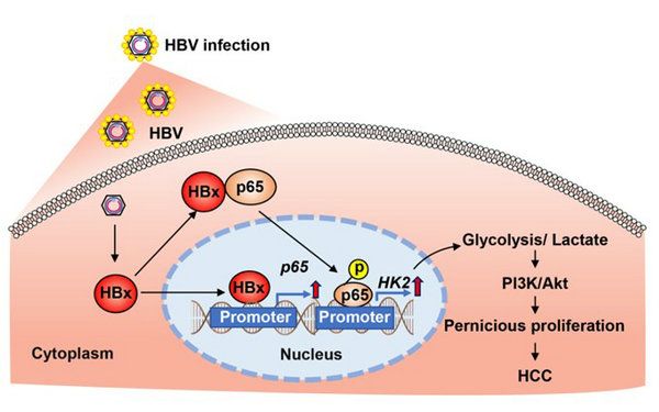 0BF189972710910D1738ABADEEA_1E14DF32_8AD6 0BF189972710910D1738ABADEEA_1E14DF32_8AD6