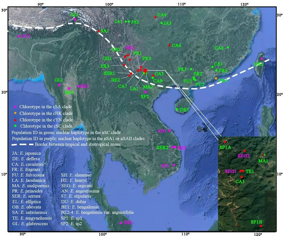 49DBED588620065C30194556048_B3109320_17393.jpg?e= Ê×Ò³|ngµç×ÓÓÎÏ·Öйú¼¯ÍŹٷ½ÍøÕ¾