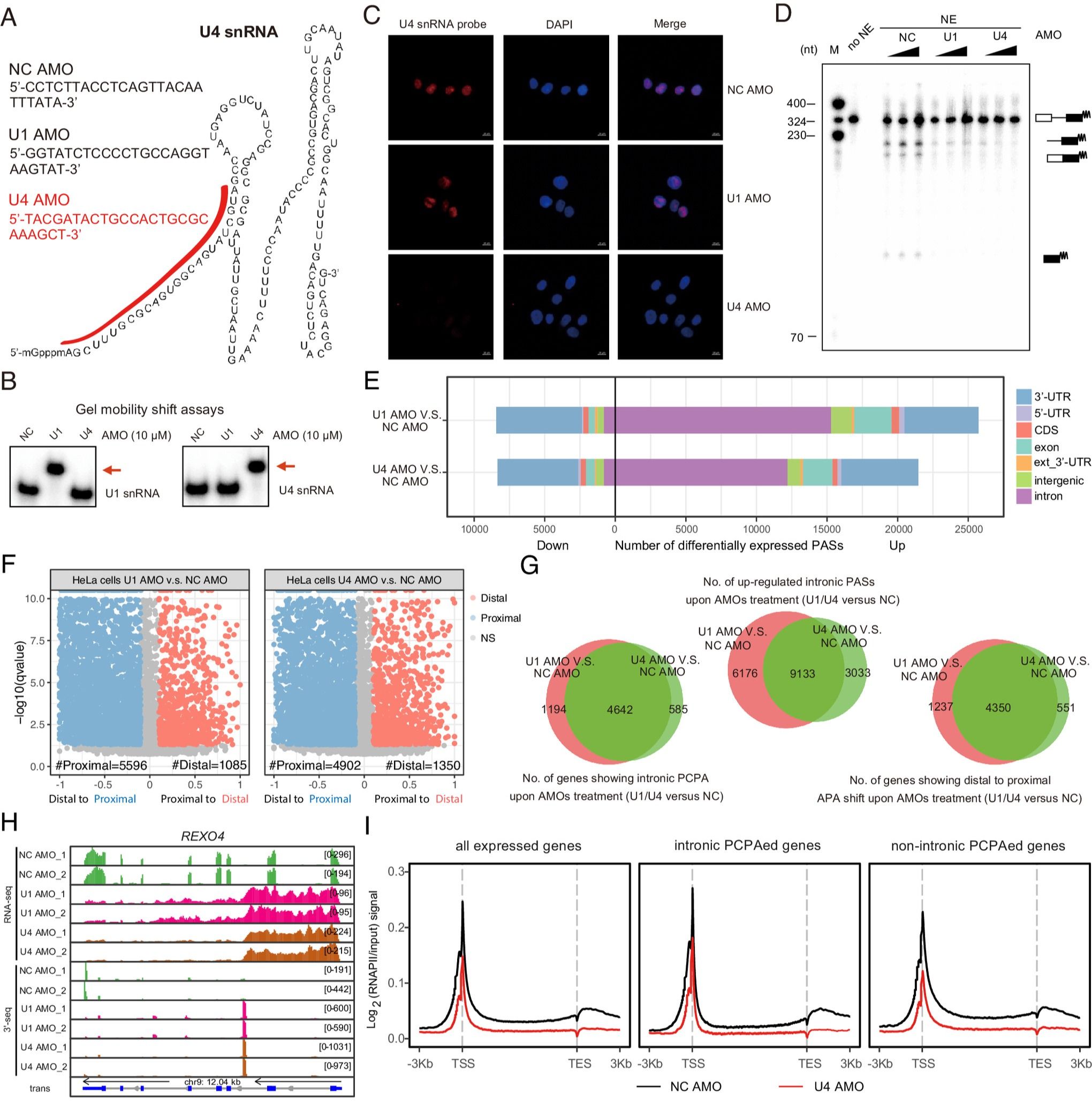 ��ҳ|ng������Ϸ�й����Źٷ���վ