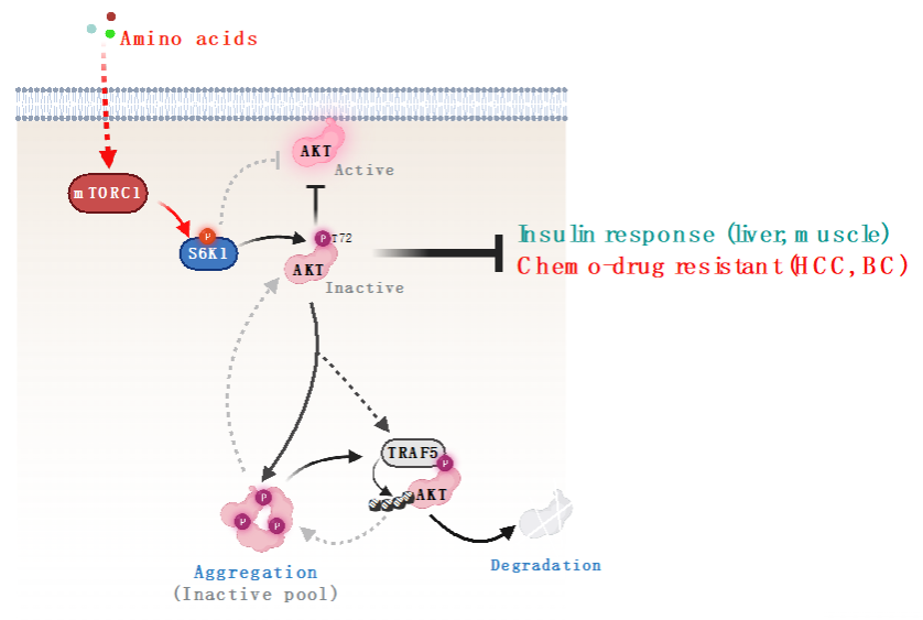 DC7D869F629C1A13F1DA0A47DB5_3BAE875A_1315E