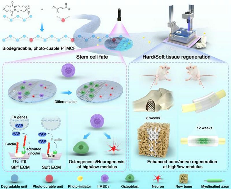 6BD7A4E2EC8A67FEF998A0C9148_F6C6CAFB_130FD 6BD7A4E2EC8A67FEF998A0C9148_F6C6CAFB_130FD