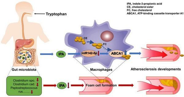 ��ҳ|ng������Ϸ�й����Źٷ���վ