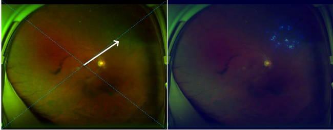 ��ҳ|ng������Ϸ�й����Źٷ���վ