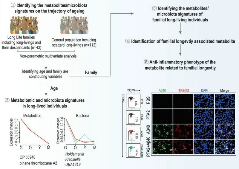 9031ED2F565C88DF766CD7ADC7D_BC72DEA0_1367C 9031ED2F565C88DF766CD7ADC7D_BC72DEA0_1367C