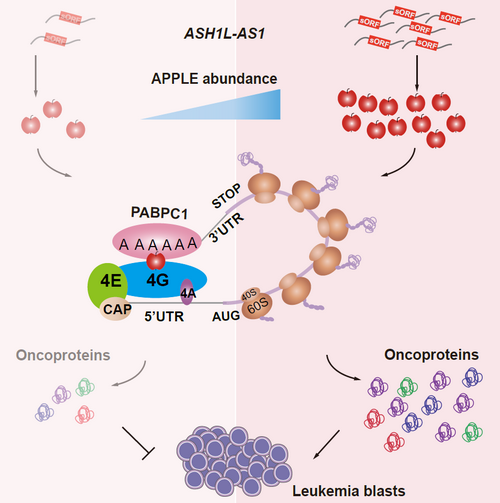 ��ҳ|ng������Ϸ�й����Źٷ���վ