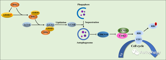 ��ҳ|ng������Ϸ�й����Źٷ���վ