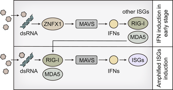 ��ҳ|ng������Ϸ�й����Źٷ���վ