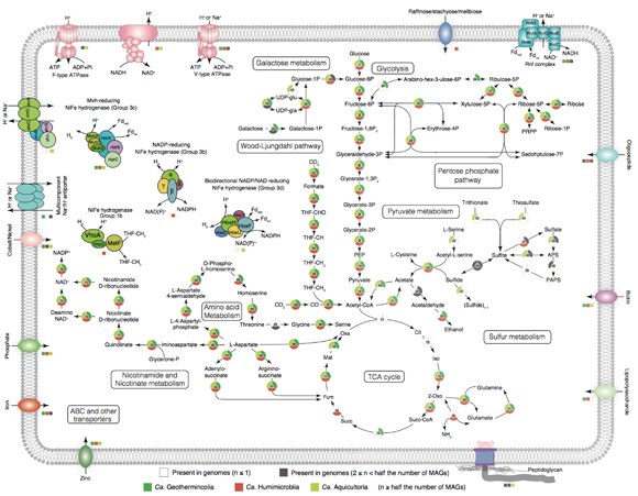 ��ҳ|ng������Ϸ�й����Źٷ���վ