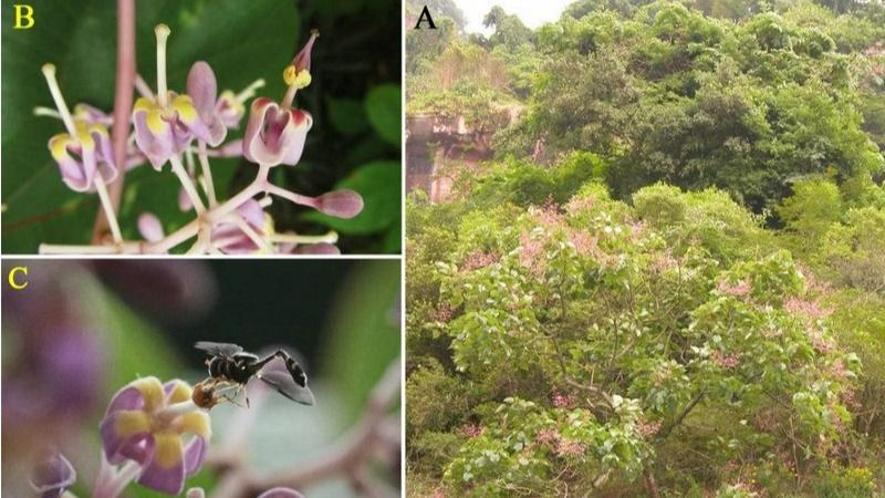 ��ҳ|ng������Ϸ�й����Źٷ���վ