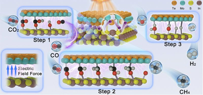 4D253EB4D817AC23CDA66390142_5585A120_107D5