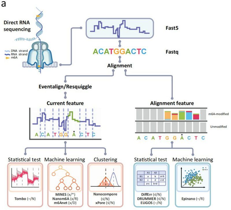 DB6FE85118E4F9BE01FDA358615_B79740B2_12946