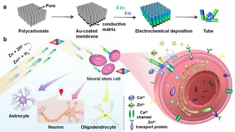 ��ҳ|ng������Ϸ�й����Źٷ���վ