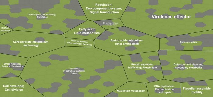 63AA55A0E9CCE1FA72FBF4ADD8C_97C5D0BB_8EBC